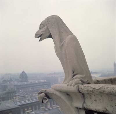 Gargoyle on the balustrade of the Grande Galerie, replica of a 12th century original by Eugene Emmanuel Viollet le Duc